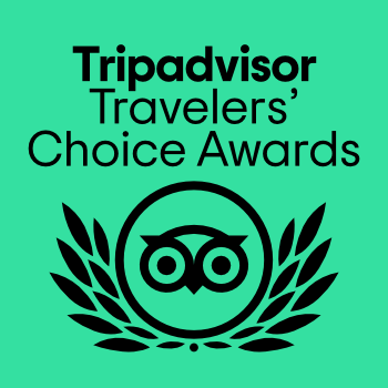 Tripadvisor Travellers Choice Awards Logo